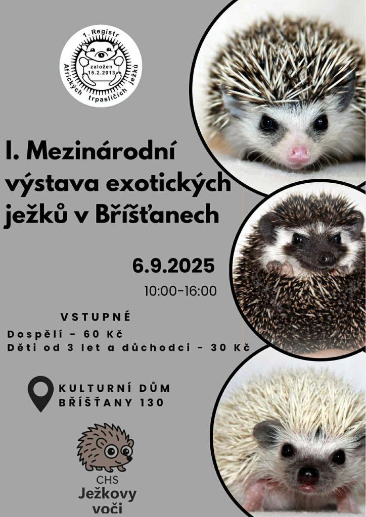 obrázek bez popisu