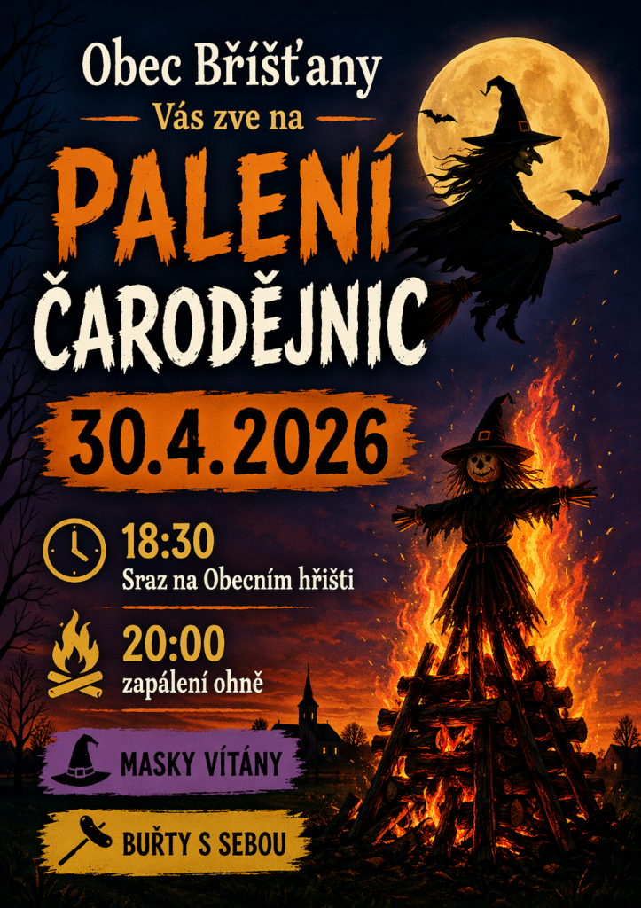 obrázek bez popisu