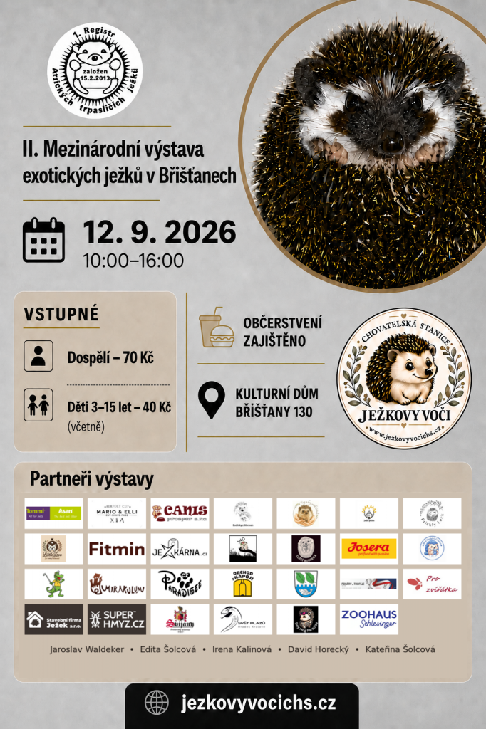 obrázek bez popisu